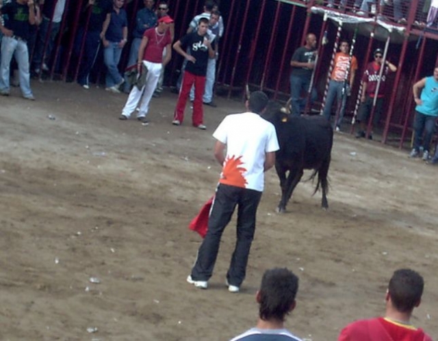 La vaca a la espera del mozo.jpg